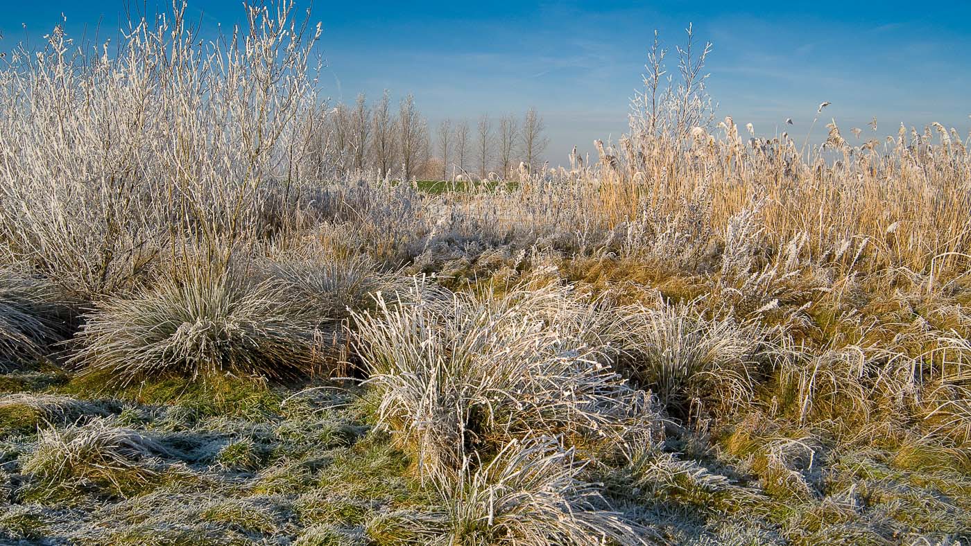 Fotografie Anton Staartjes