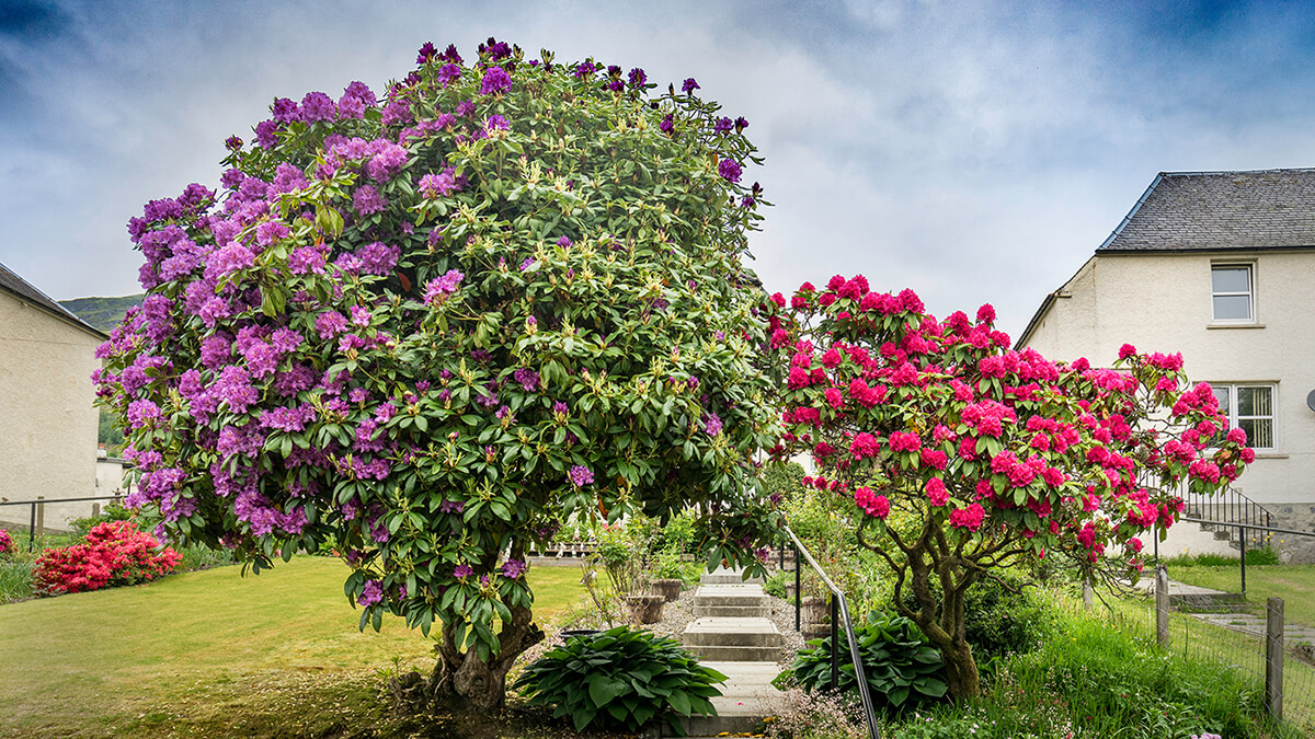 Fotografie Anton Staartjes