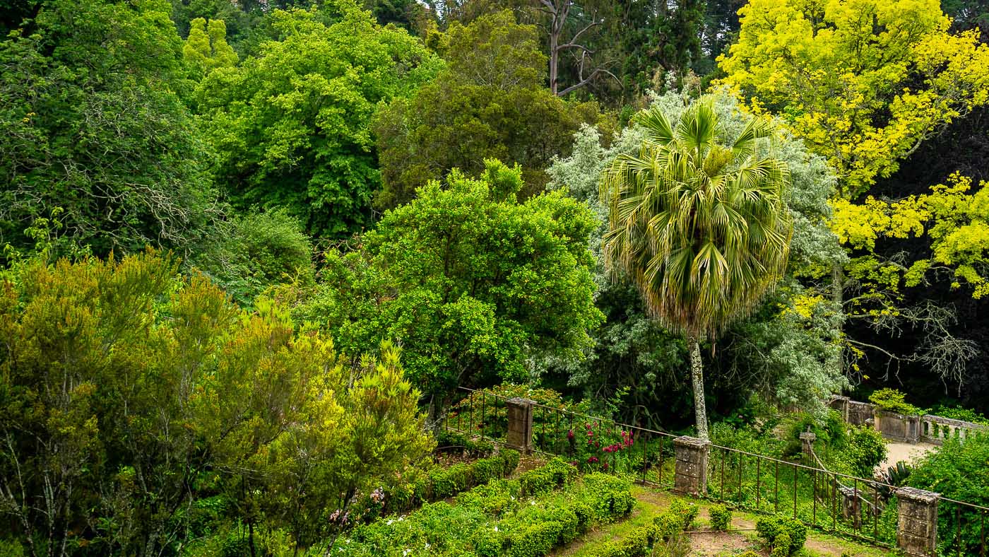Fotografie Anton Staartjes